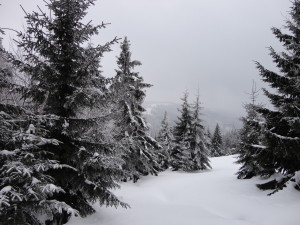 Gorce zimą